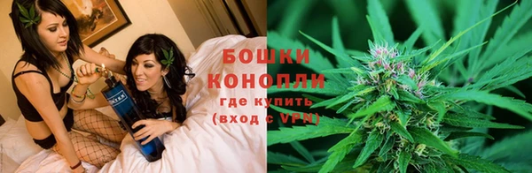 амф Бронницы
