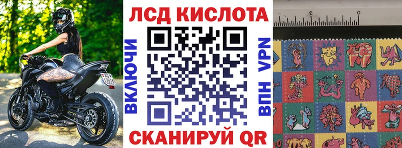 Марки N-bome 1500мкг  Купить закладки  Магадан 
