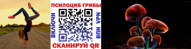 Купить где  Магадан  Галлюциногенные грибы Magic Shrooms 